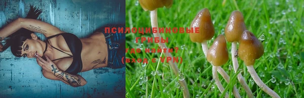 герыч Алексин