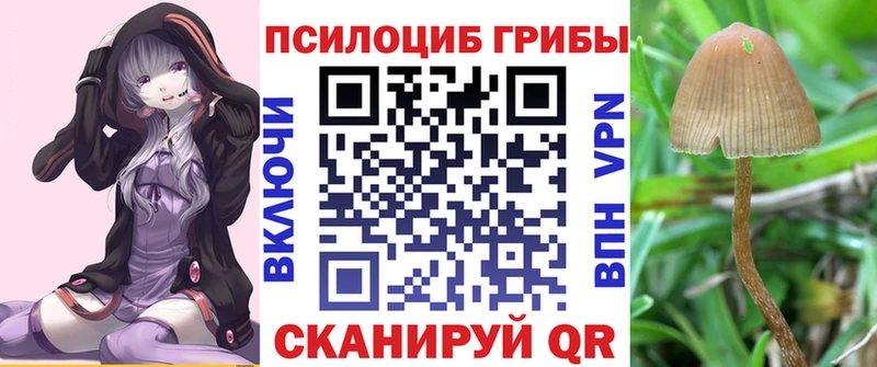 Псилоцибиновые грибы MAGIC MUSHROOMS  купить наркотики цена  Зеленоградск 